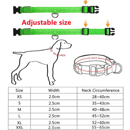 Usb Charging Glowing Dog Collar With Pendant Detachable Luxury Led Light Bright For Small Dogs Cat Night Safety Collar Wholesale SS69