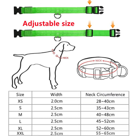 Usb Charging Glowing Dog Collar With Pendant Detachable Luxury Led Light Bright For Small Dogs Cat Night Safety Collar Wholesale SS69