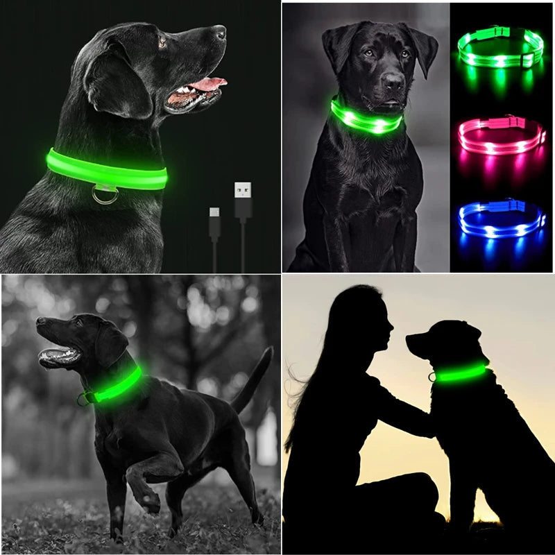 Usb Charging Glowing Dog Collar With Pendant Detachable Luxury Led Light Bright For Small Dogs Cat Night Safety Collar Wholesale SS69