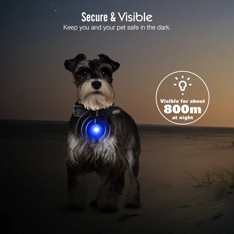 Usb Charging Glowing Dog Collar With Pendant Detachable Luxury Led Light Bright For Small Dogs Cat Night Safety Collar Wholesale SS69