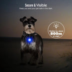Usb Charging Glowing Dog Collar With Pendant Detachable Luxury Led Light Bright For Small Dogs Cat Night Safety Collar Wholesale SS69