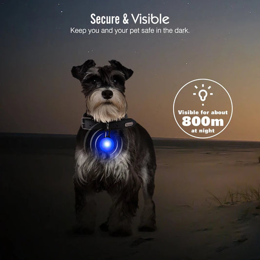 Usb Charging Glowing Dog Collar With Pendant Detachable Luxury Led Light Bright For Small Dogs Cat Night Safety Collar Wholesale SS69