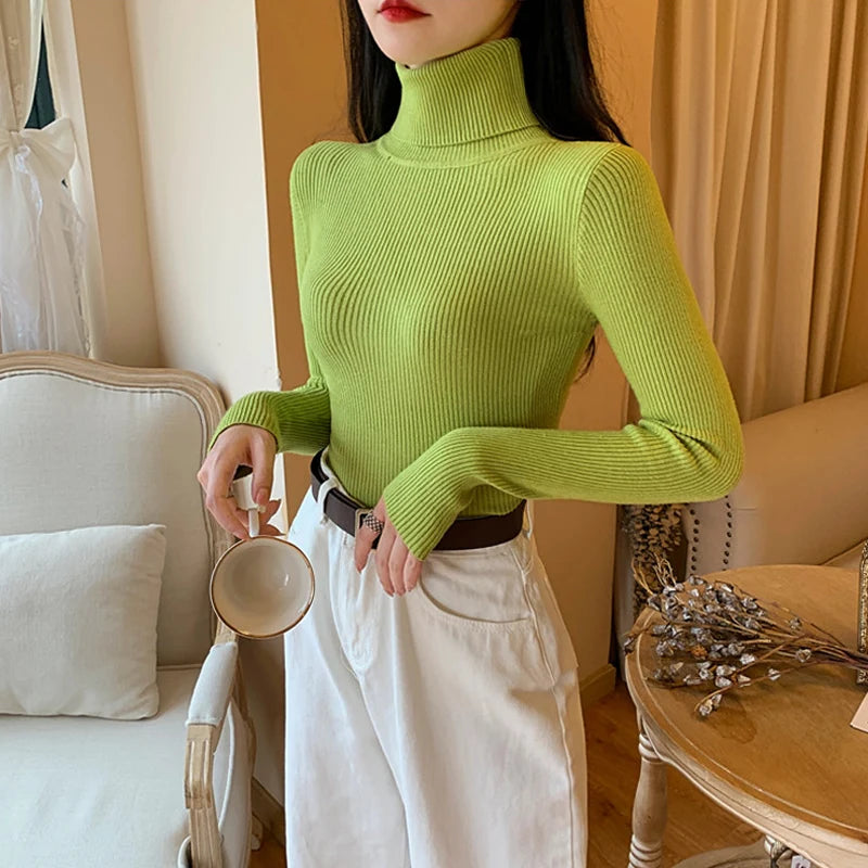 2025 Autumn Winter Women Long Sleeve Knitted Foldover Turtleneck Ribbed Pull Sweater Soft Warm Femme Jumper Pullover Clothes SS69 13.69 One Size / light green