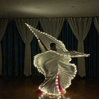 LED Isis Wings for Belly Dance & Performance