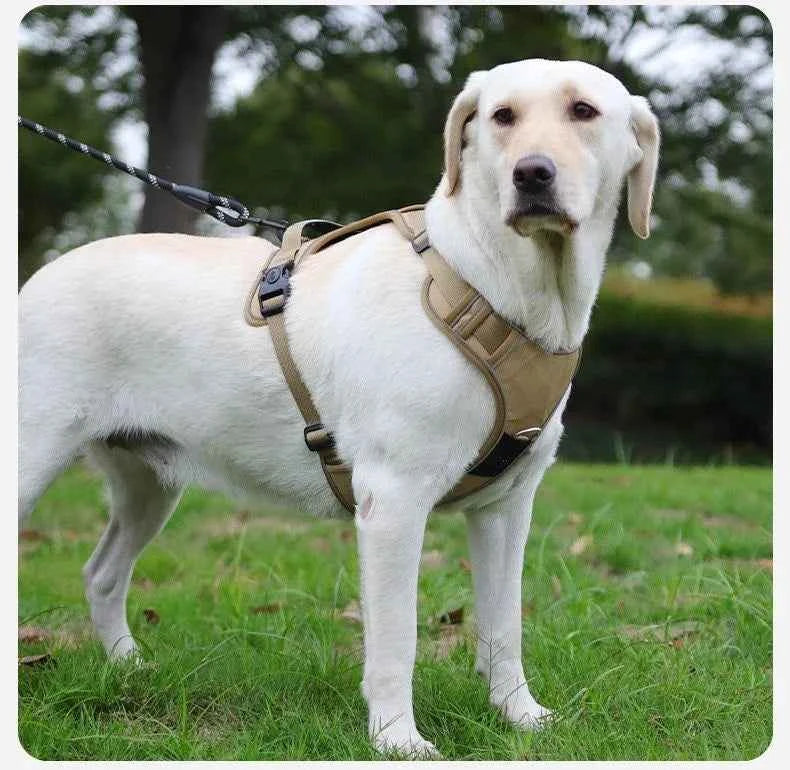 Dog Harness with Airtag Holder and Leash Set-Premium Oxford Breathable Material Durable Reflective Dog Harness and Leash Set