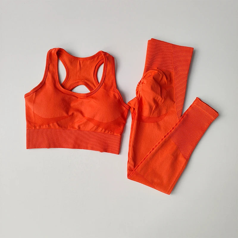 2PCS Sports Bra Women's Set Professional Fitness Tank Top Bra Shockproof Running Leggings Yoga Suit Beautiful Back Bra Clothing - SS69