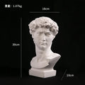 GUGUGUHOME David Head Resin Bust Sculpture - Modern Abstract Art