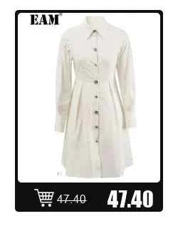 [EAM] Both Side Wear Big Size Knitting Sweater Turtleneck Long Sleeve Women Pullovers New Fashion Autumn Winter 2025 1DE3629