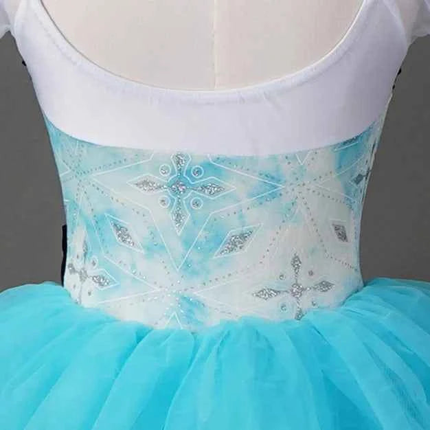 Girls Ladies Women Ballet Dance Dress Ballet Skirt Tutu Skirt Dance Costume Performance Wear