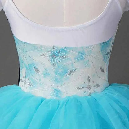 Girls Ladies Women Ballet Dance Dress Ballet Skirt Tutu Skirt Dance Costume Performance Wear