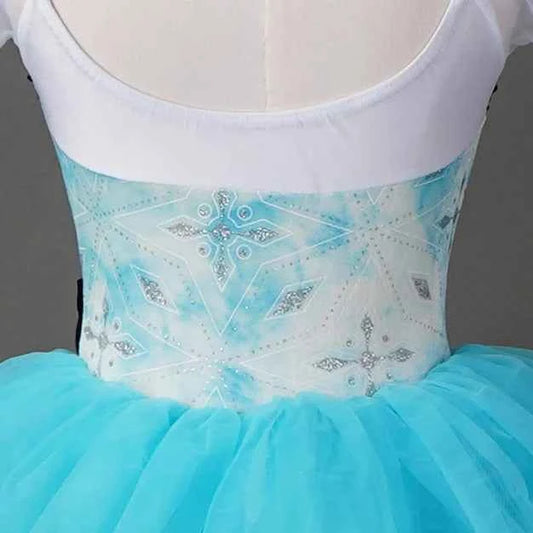 Girls Ladies Women Ballet Dance Dress Ballet Skirt Tutu Skirt Dance Costume Performance Wear
