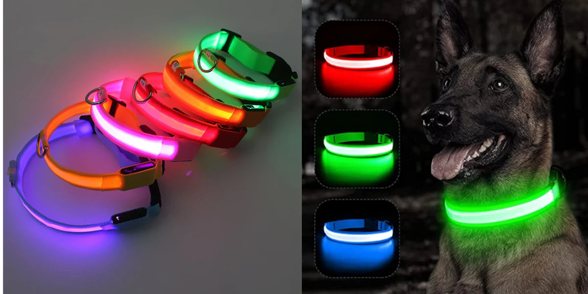 Usb Charging Glowing Dog Collar With Pendant Detachable Luxury Led Light Bright For Small Dogs Cat Night Safety Collar Wholesale SS69