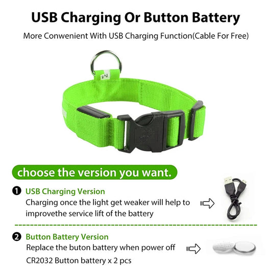 Usb Charging Glowing Dog Collar With Pendant Detachable Luxury Led Light Bright For Small Dogs Cat Night Safety Collar Wholesale SS69
