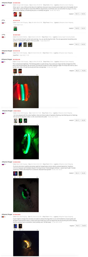 Usb Charging Glowing Dog Collar With Pendant Detachable Luxury Led Light Bright For Small Dogs Cat Night Safety Collar Wholesale SS69