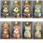 Sexy Girl Belly Dance Costume Wear Bar+Belt 2pc Set 10 Colors Ladies Bellydancing Costumes Bellydance Clothes