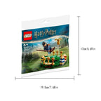 LEGO 30651 Quidditch Practice