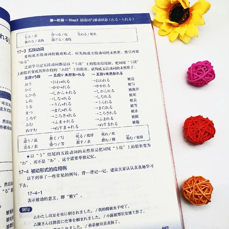 3pcs/set Japanese Learning Book Lntroductory Self-study Standard Japanese Elementary Education Course Japanese Word Grammar Book SS69