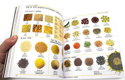 DK Korean English Bilingual Visual Dictionary Bilingual Comparative Illustrated Dictionary Book English Original SS69