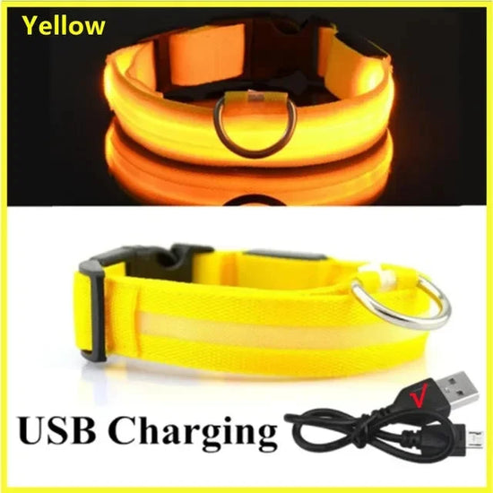 USB Charging LED Dog Collar Dog Safety Night Light Flashing Necklace Fluorescent Collars Pet Supplies SS69 15.69 Yellow / M NECK 37-46 CM / korea