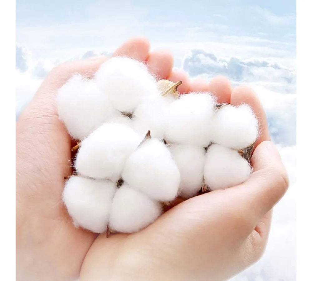 Colorful O Neck TShirt Commodore 64 Computer Fabric Original T Shirt Woman's Tops 5XL Fluffy SS69