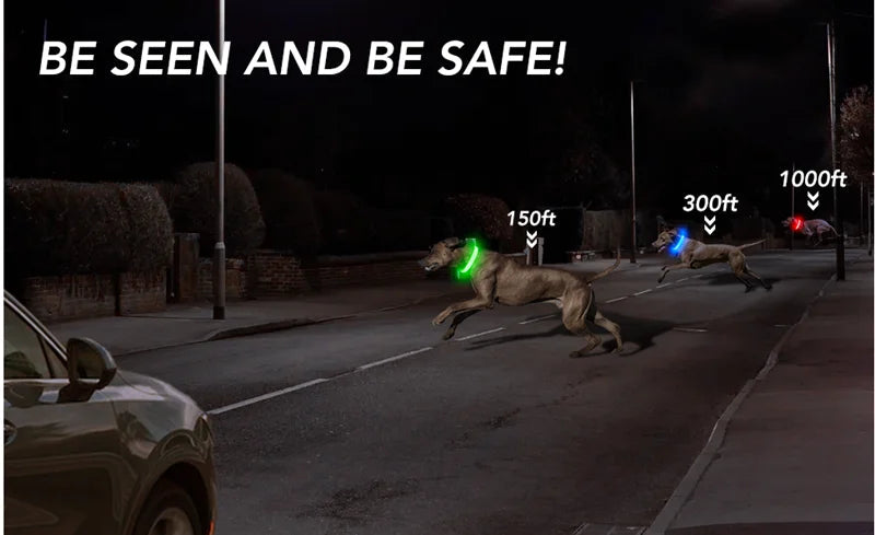 Usb Charging Glowing Dog Collar With Pendant Detachable Luxury Led Light Bright For Small Dogs Cat Night Safety Collar Wholesale SS69