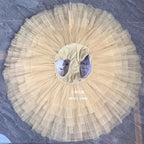 BT01574 high quality tailored Fairy doll swan lake  gradient champange performance Wear Ballet Tutu Costumes
