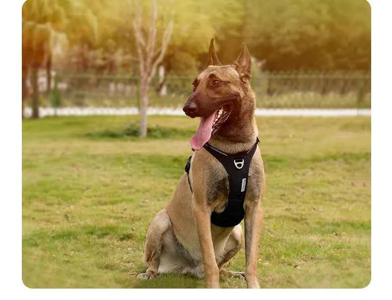 TRUE LOVE Pet Harness No Pull Nylon Reflective Dog Harness Adjustable Comfortable Control Step-in Brilliant Truelove TLH5654
