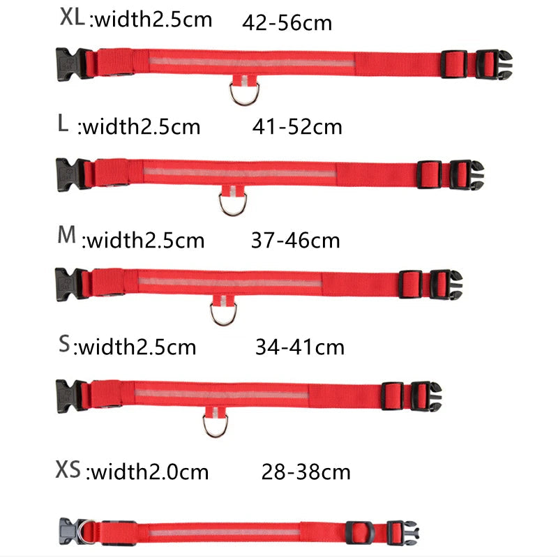 Usb Charging Glowing Dog Collar With Pendant Detachable Luxury Led Light Bright For Small Dogs Cat Night Safety Collar Wholesale SS69