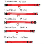 Usb Charging Glowing Dog Collar With Pendant Detachable Luxury Led Light Bright For Small Dogs Cat Night Safety Collar Wholesale SS69