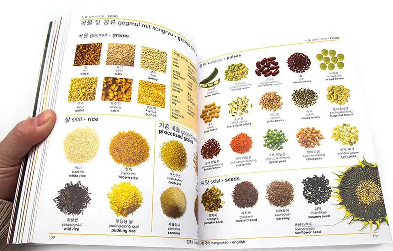 DK Korean English Bilingual Visual Dictionary Bilingual Contrastive Graphical Dictionary Book DIFUYA SS69