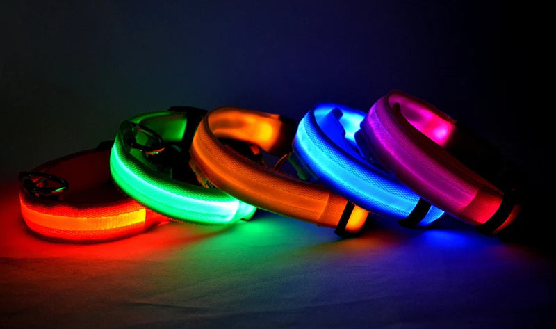 Usb Charging Glowing Dog Collar With Pendant Detachable Luxury Led Light Bright For Small Dogs Cat Night Safety Collar Wholesale SS69