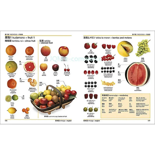 DK Textbook Japanese-English Bilingual Visual Graphic Dictionary English Learning Books English Edition reference book SS69