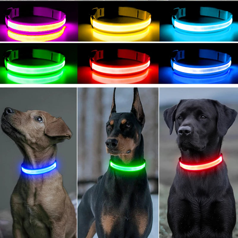 Usb Charging Glowing Dog Collar With Pendant Detachable Luxury Led Light Bright For Small Dogs Cat Night Safety Collar Wholesale SS69
