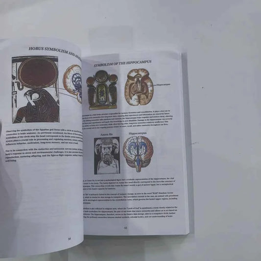 Book Of Wisdom With Colorful Pages Philosophical Life Guidance Notebook For Self Reflection And Meditation