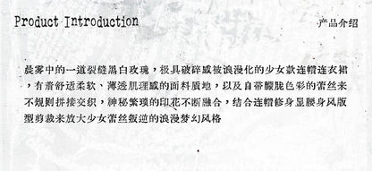 NO ROMANCE Fairy Sexy Punk Printing Half Transparent Lace Patch Knitted Long Sleeve Hooded Dresses Rock Gothic Design Vestidos SS69