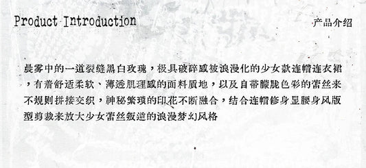 NO ROMANCE Fairy Sexy Punk Printing Half Transparent Lace Patch Knitted Long Sleeve Hooded Dresses Rock Gothic Design Vestidos SS69