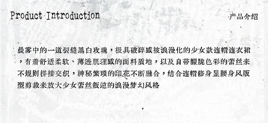 NO ROMANCE Fairy Sexy Punk Printing Half Transparent Lace Patch Knitted Long Sleeve Hooded Dresses Rock Gothic Design Vestidos SS69