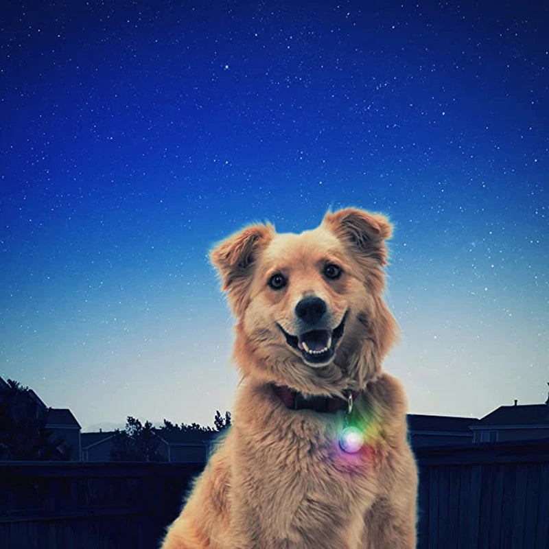 Usb Charging Glowing Dog Collar With Pendant Detachable Luxury Led Light Bright For Small Dogs Cat Night Safety Collar Wholesale SS69