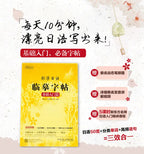 3d book Calligraphy Learning Japanese Hiragana Books Erasable Pen Refill Sets Writing Tools For Adults Kids SS69