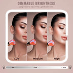 Travel Makeup Train Case with LED Mirror & Dividers