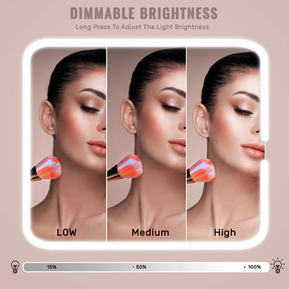 Travel Makeup Bag With LED Lighted Mirror, Makeup Train Case With Adjustable Dividers For Home,Gift,Vacation