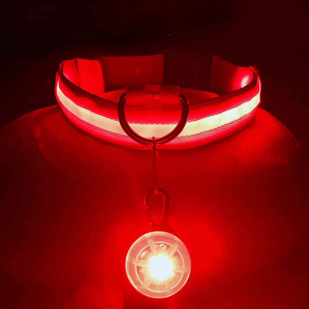 Usb Charging Glowing Dog Collar With Pendant Detachable Luxury Led Light Bright For Small Dogs Cat Night Safety Collar Wholesale SS69