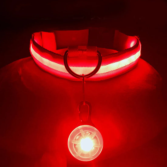 Usb Charging Glowing Dog Collar With Pendant Detachable Luxury Led Light Bright For Small Dogs Cat Night Safety Collar Wholesale SS69