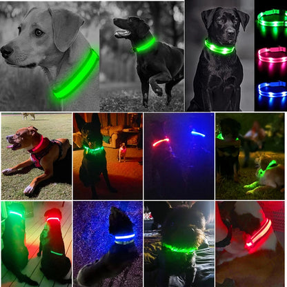 Usb Charging Glowing Dog Collar With Pendant Detachable Luxury Led Light Bright For Small Dogs Cat Night Safety Collar Wholesale SS69