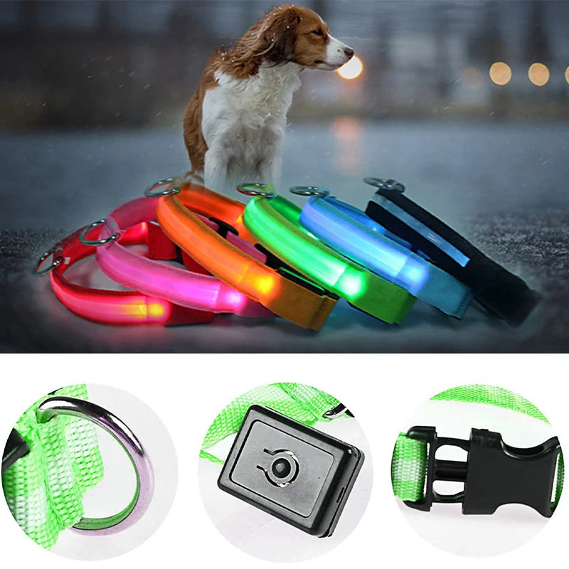 Usb Charging Glowing Dog Collar With Pendant Detachable Luxury Led Light Bright For Small Dogs Cat Night Safety Collar Wholesale SS69