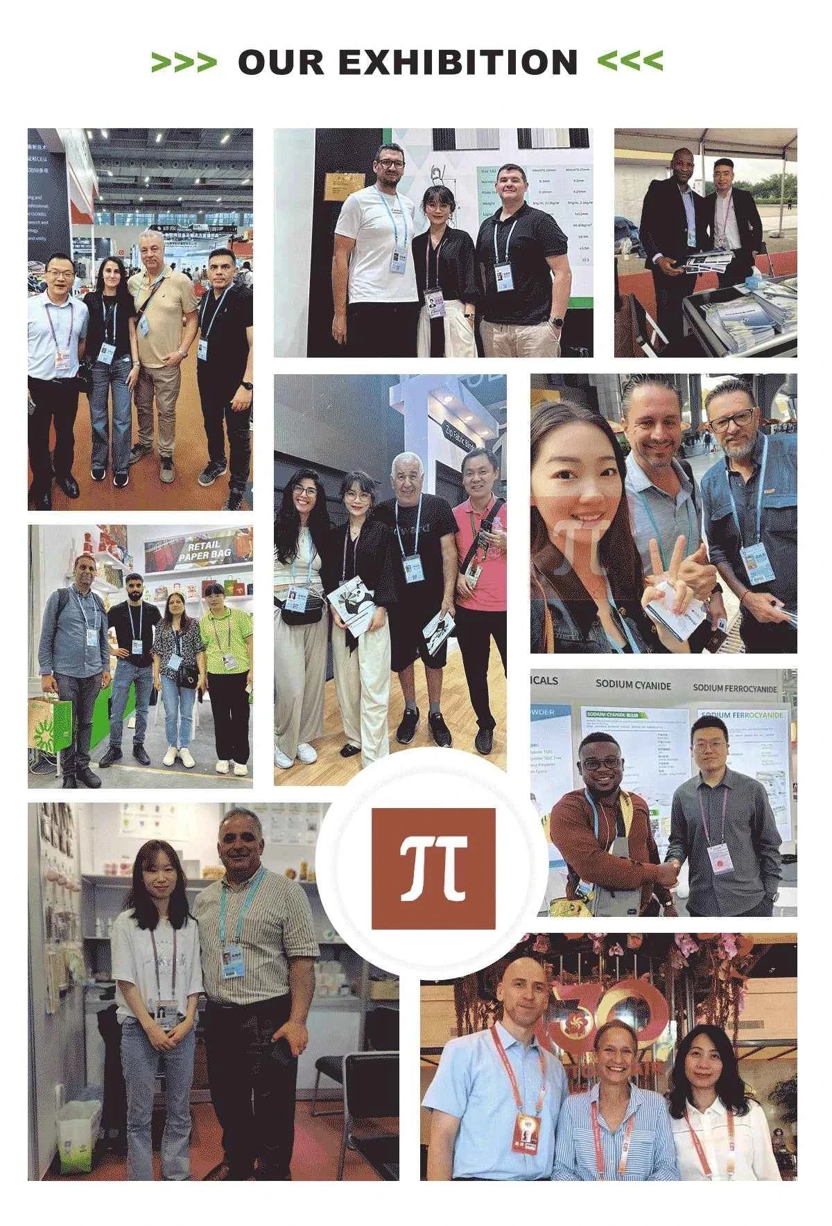 Outdoor Bubble Camping Transparent Starry Sky Dome Tent Igloo Tent Waterproof PC Dome Tent  5 years free warranty