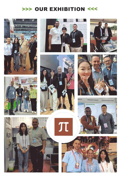 Outdoor Bubble Camping Transparent Starry Sky Dome Tent Igloo Tent Waterproof PC Dome Tent  5 years free warranty