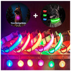 Usb Charging Glowing Dog Collar With Pendant Detachable Luxury Led Light Bright For Small Dogs Cat Night Safety Collar Wholesale SS69