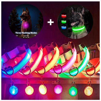 Usb Charging Glowing Dog Collar With Pendant Detachable Luxury Led Light Bright For Small Dogs Cat Night Safety Collar Wholesale SS69