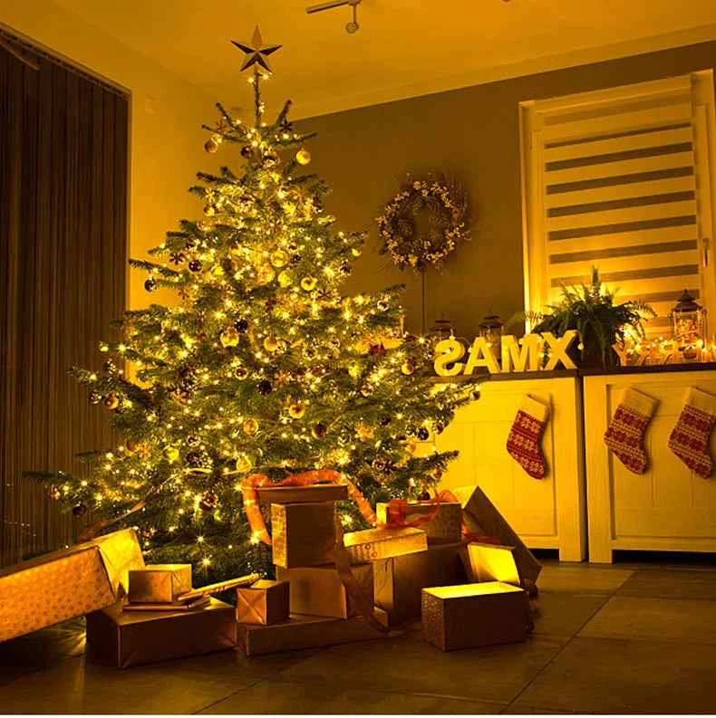 50M 100M 24V LED Christmas lights Green Wire Leather Fairy Lights String Waterproof Outdoor Garden Party Wedding Garland Decor